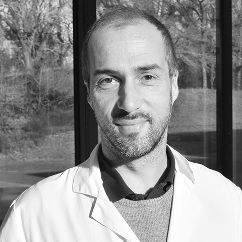 Pr. Romain Bourcier